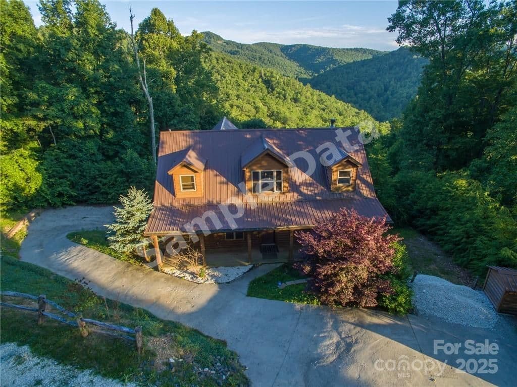 109 Damselfly Spruce Pine