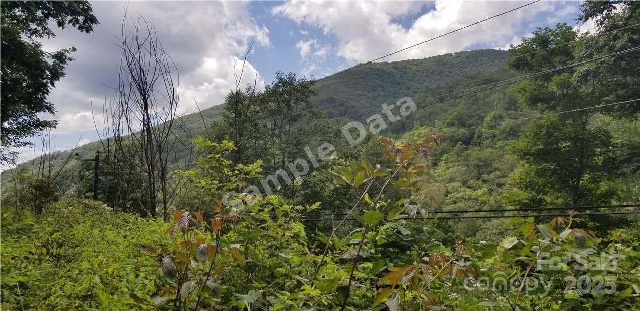2310 Fie Top Maggie Valley