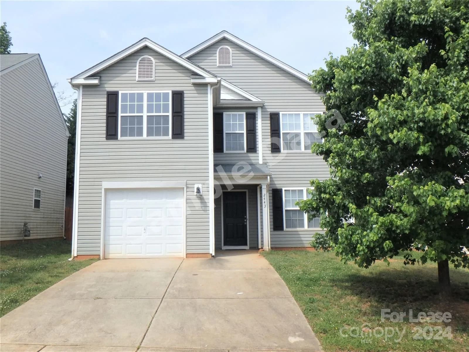 2443 Shad Charlotte