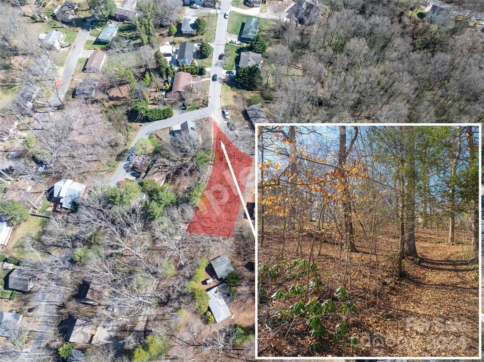 99999 Pearson Drive, Asheville, NC, 28801
