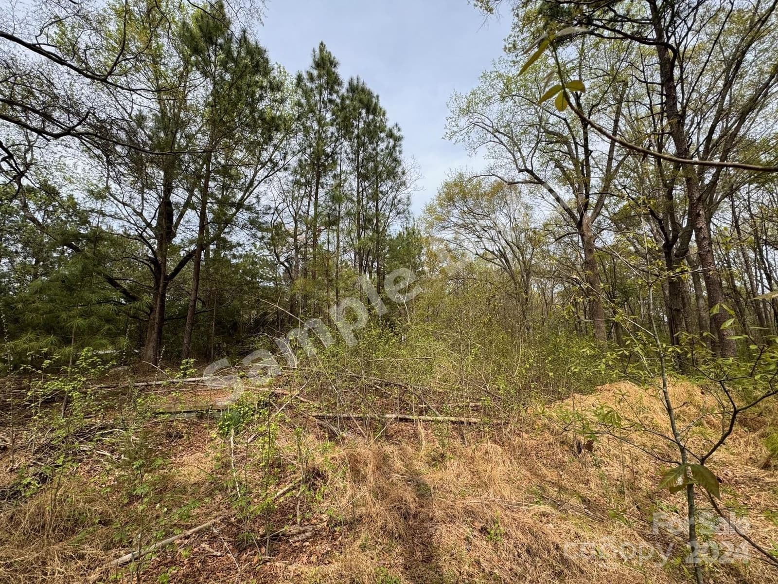 1521 Kennel Road, Fort Mill, SC, 29715 photo 1