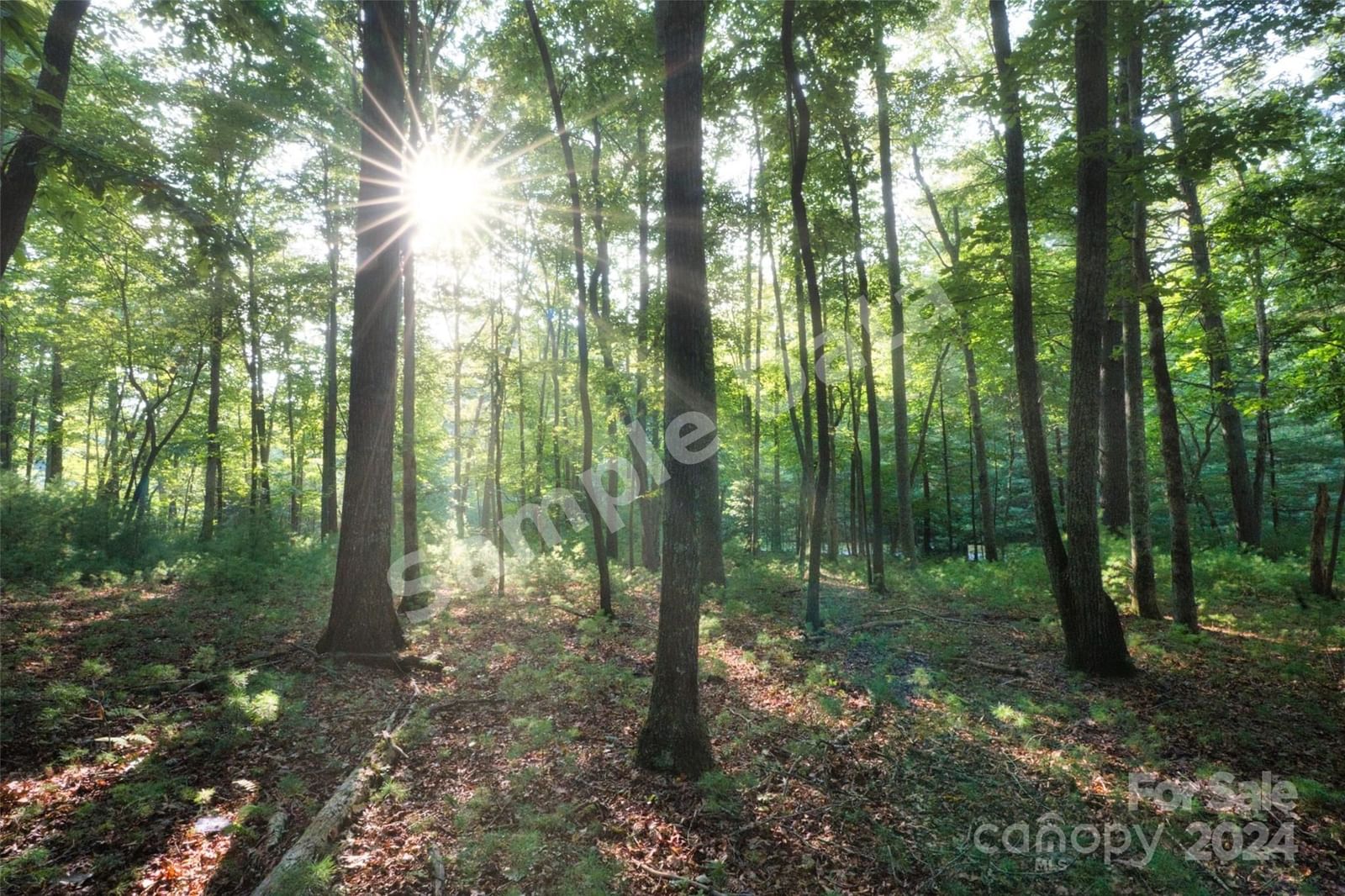 15 Mirehouse Run, Asheville, NC, 28803 photo 1