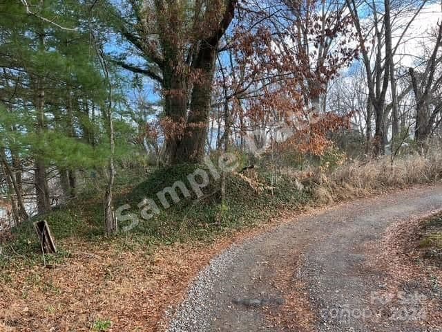 99999 Stoner View Road, Asheville, NC, 28803 photo 1