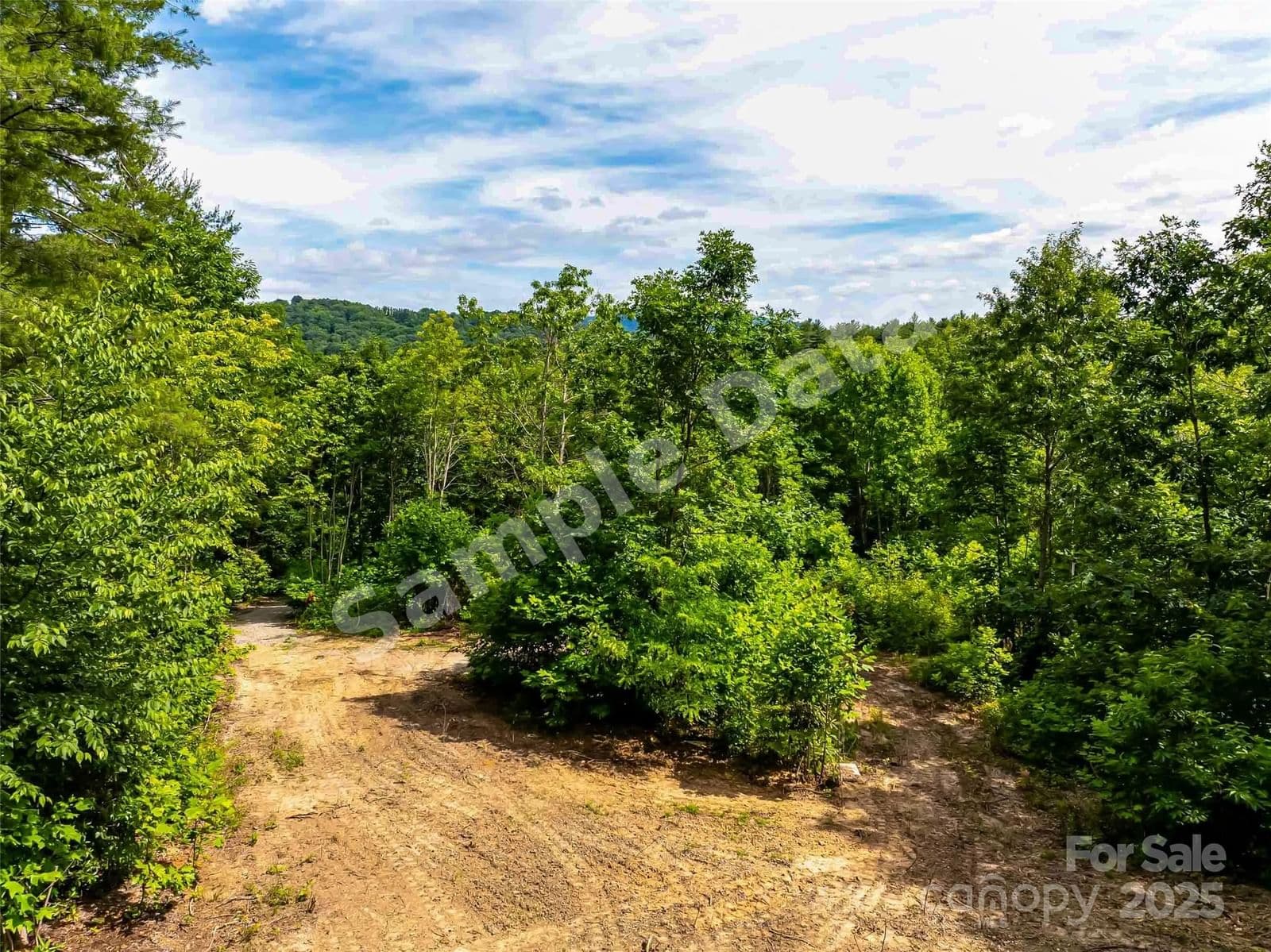 27 Fig Tree Lane, Asheville, NC, 28803 photo 1