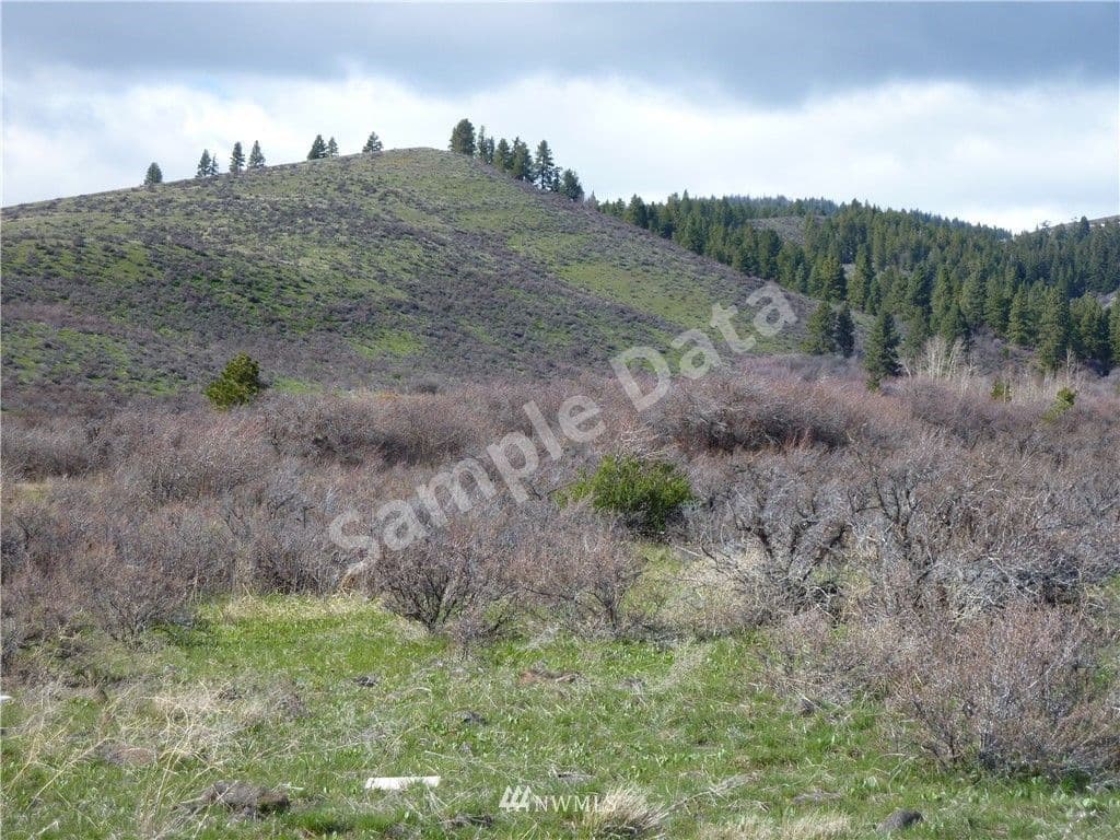 17 XX Pheasant Ellensburg