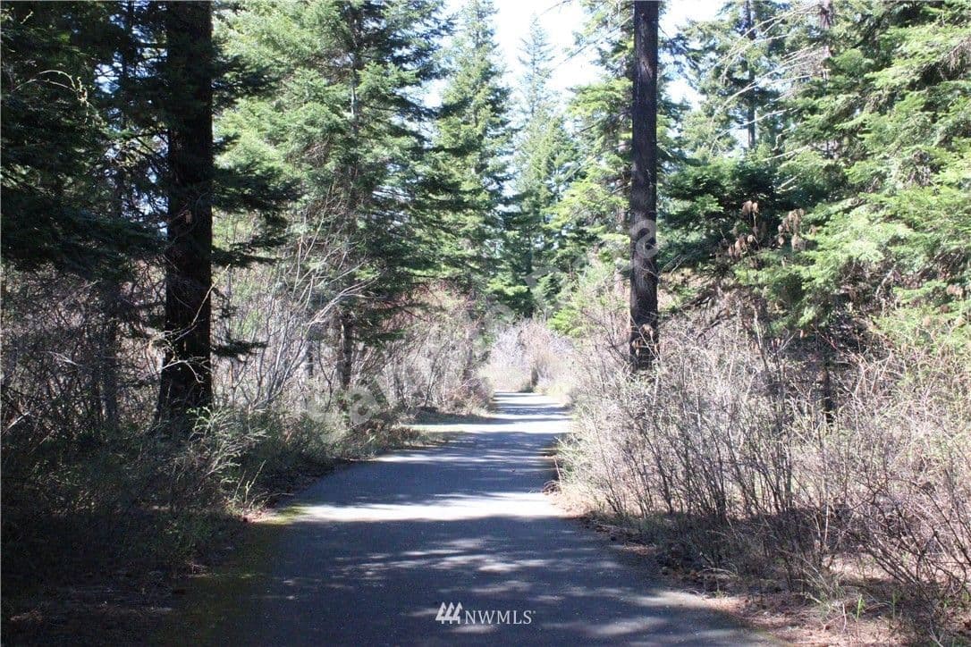 1311 Snowberry Cle Elum