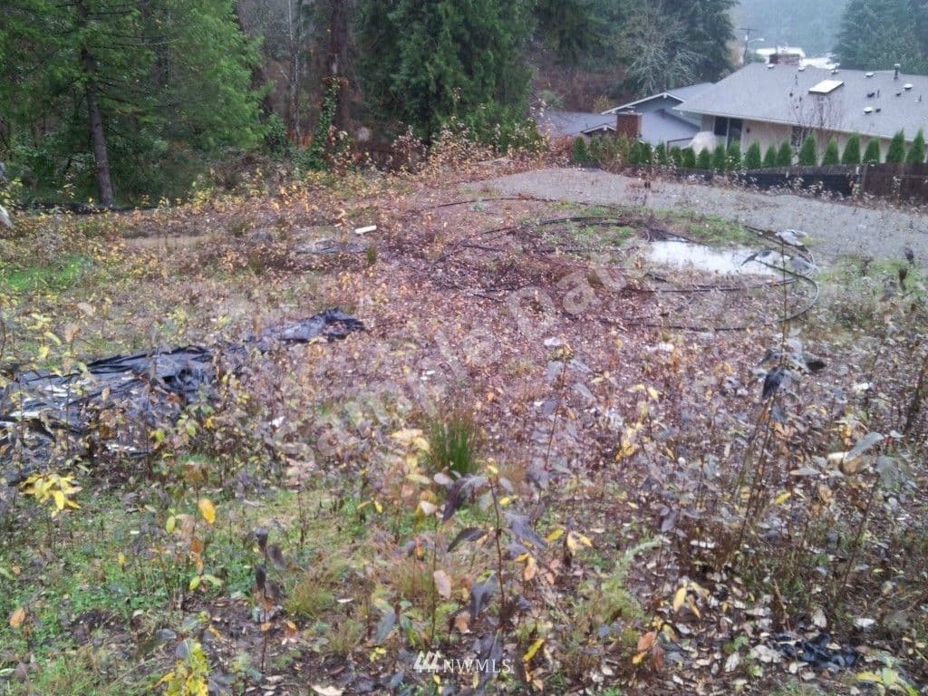 1516 175th Bellevue