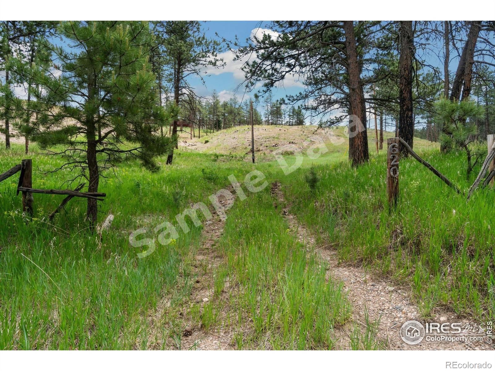 620 Davis Ranch Road, Bellvue, CO, 80512