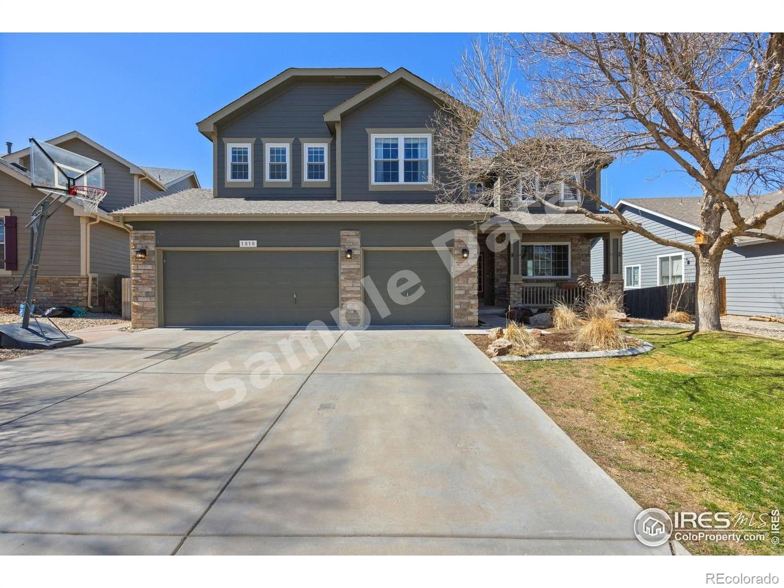 1818 Canvasback Johnstown