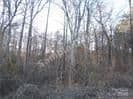 146 Twin Creeks Troutman